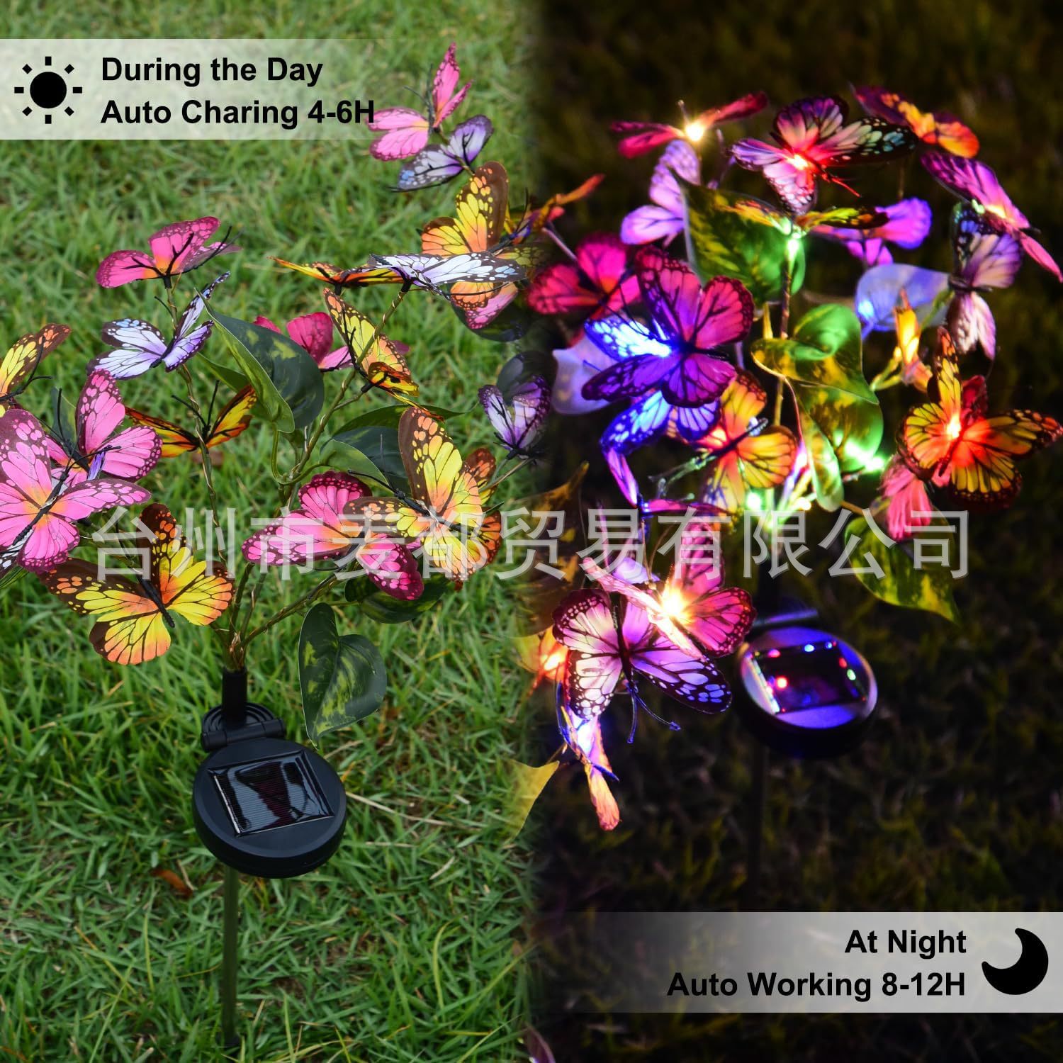 81kXjOMKYWL._AC_SL1500_