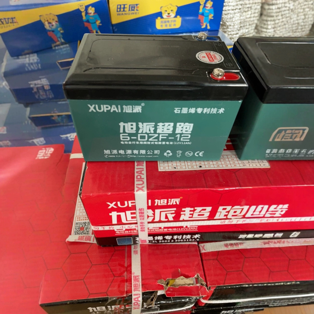 旭派电池12v12ah地摊照明电动车电瓶6-DZF-12铅酸蓄电池小海豚
