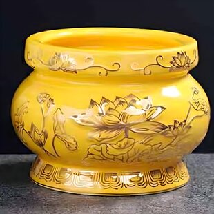 �����Sɫɏ����t����t�T̨�͟�̩����t�o��ɏ���D����廨��ˇ