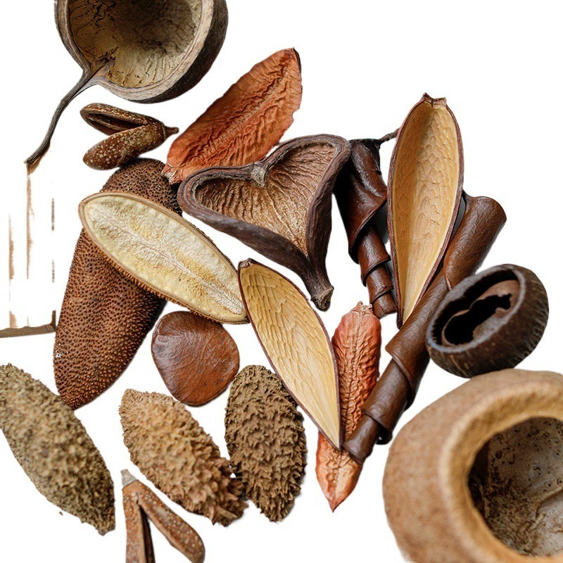 Import decorations, plant lamp, sample, materials set, aquarium, handmade