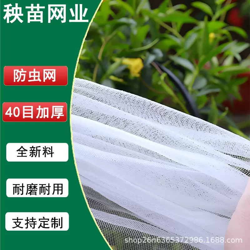 蔬菜果树防虫网罩大棚农用果园防虫网聚乙烯网布60目加厚加厚耐用