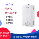 出口工厂家用燃气热水器液化气天然气烟道式煤气热水器6L8L10L12L