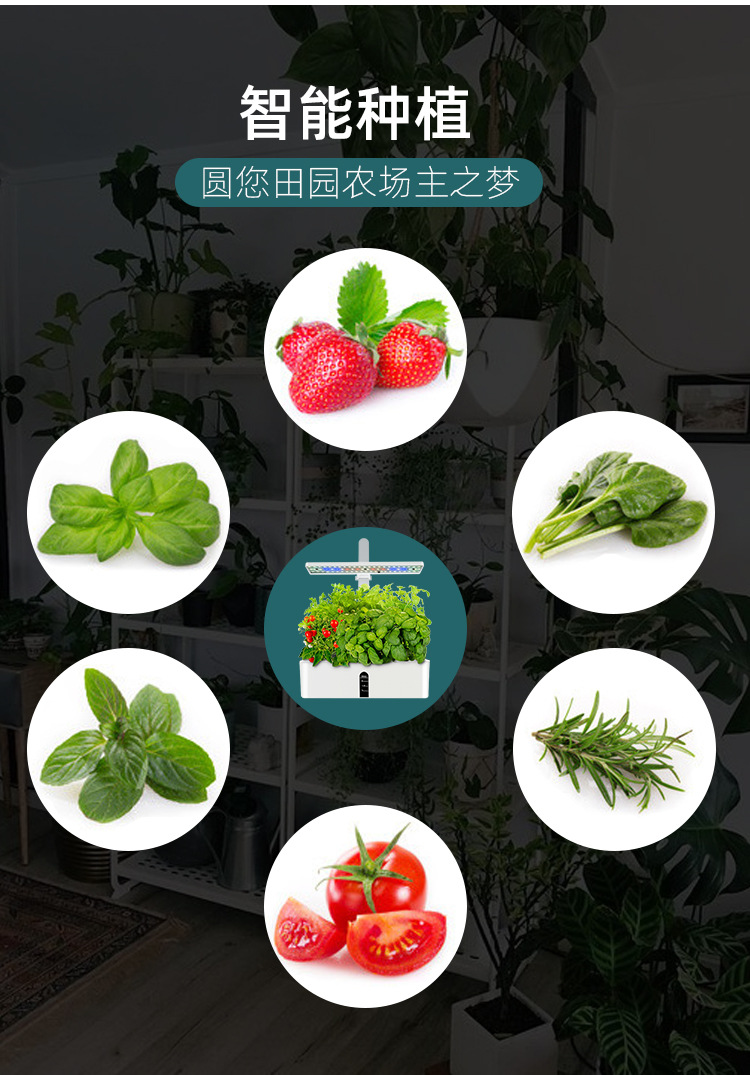 淘宝新款植物机详情(1)_03.jpg