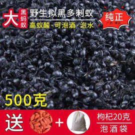 广西大黑蚂蚁干拟黑多刺蚁黑蚂蚁食用泡酒料散装