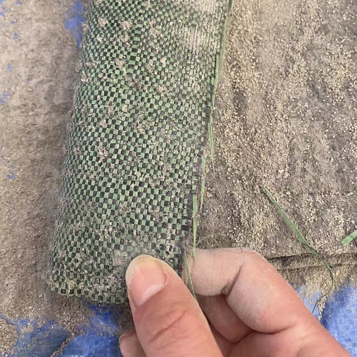 2024-02-25 09:03:40.jpg