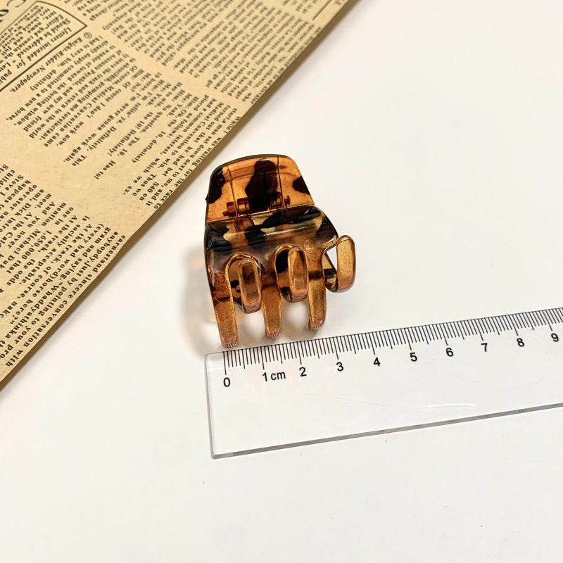 3.5cm 밝은 거북이 껍질