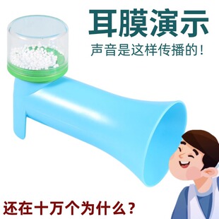 Human ears, tympanic membranes, ear membrane principles, production materials model Primary school scientific acoustic drum membrane vibration sound transmission