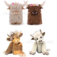 羳Ʒ Highland Cow˷ոߵţë޹гëţ