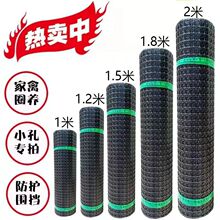 塑料网格防护养殖网家用菜园鱼塘拦鸡网子户外玉米网养鸡围栏网