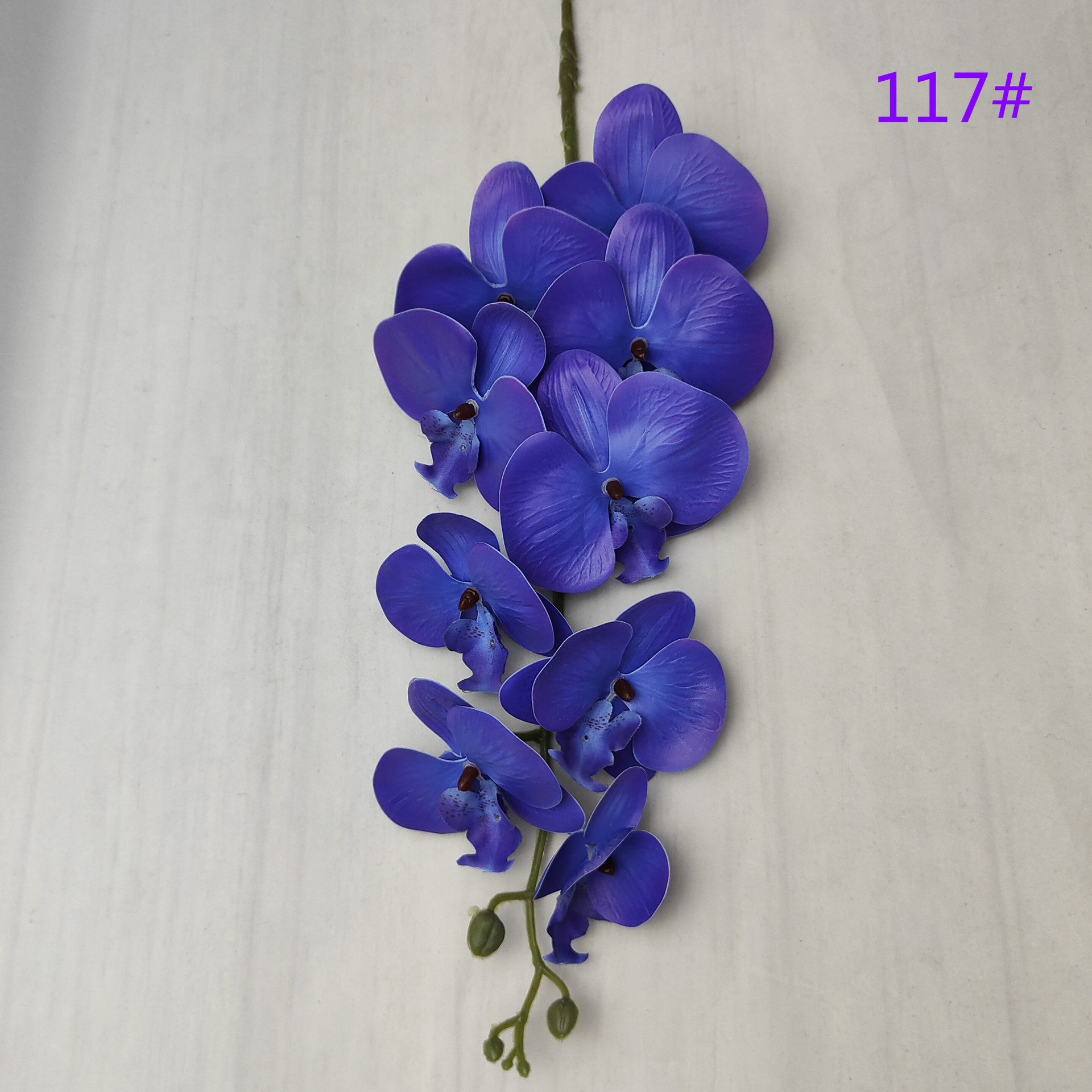 IMG20230509162710_副本