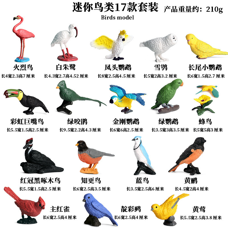M mini bird (17 sets in total)