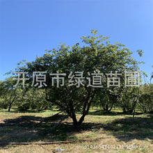 ����Ԫ����4-8�׈@�־��^���ľ�|��Ԫ����������б�h��Ǘ�����