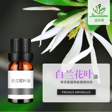 ���m���~����Michelia Alba leaf Oil����Ժ��Ħ�o�w������޹ԭ��