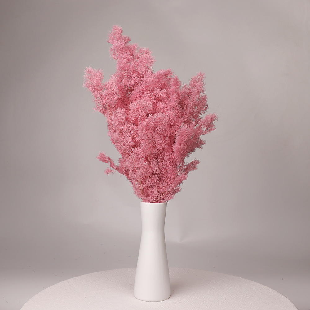 Pino Penglai flor eterna Navidad Pino preservado flor seca ramo Yunnan flor decoración del hogar Accesorios de tiro