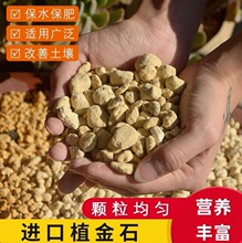 ֲ��ʯ�ձ��M��ԭ�b�m������ֲ���w���I�B���m��ʯ�������ֲ��ʩ