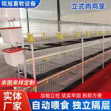 ���ƌӯBʽ��ʽ���u�\���a�S���Bֳ����ܻ\����S�����Ԅ��B�u�\