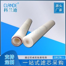 PP微孔折叠膜10寸20寸30寸40寸折叠滤芯 水处理高纯水堆叠滤芯