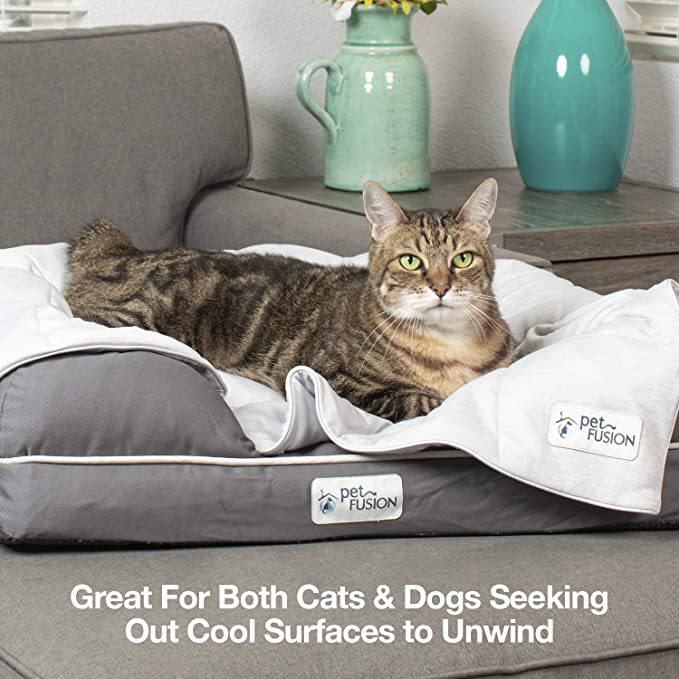 Cross-border Cat and Dog Cooling Blanket Lightweight Pet Blanket Machine Washable Pet Blanket Cold Feeling Pet Mat Pet Quilt