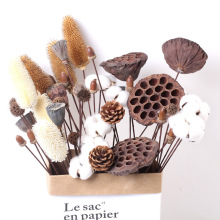 ľɹɏU廨ĺsUҾӿ͏dbɻյ