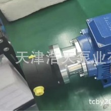 氟塑料齿轮泵TDFC 硝酸 草酸 盐酸 稀硫酸 海水 氢氧化钠齿轮泵