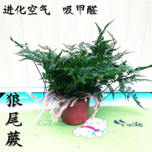 ��βާ�������_ާ�҃�ֲ���z��ާ��β��ˮ���쾰�Gֲ�ļ�����