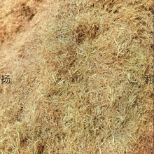 �ɵ����w�Sˮ���ն��Ž��B�۠��b��鵾�ݾG�������ൾ������]�r