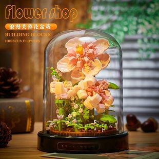 ѹӢݘܽػeľ[ƴbŮնY