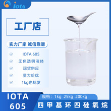 ļ׻hĹ s| ȸ 朽ӹ̶IOTA 605