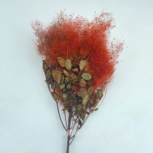 花者永生花黄栌花材 梦幻家居插花装饰 雾中情人干花花束批发厂家-阿里巴巴