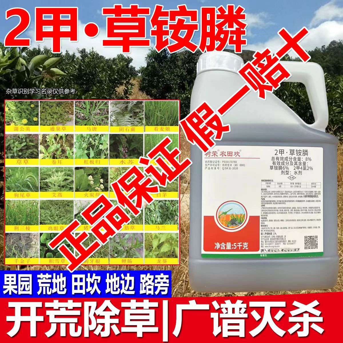 树荣农田欢8%2甲草铵膦烂根果园牛筋草小飞蓬2甲4氯钠草胺磷除草