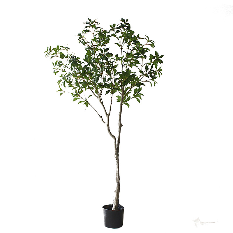 Chino-japonés ropa hotel sala de estar ventana piso floral paisaje planta verde traje de plástico simulación borracho madera