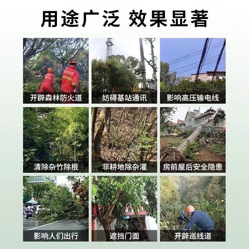 微信图片_20230314132221