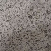 �����S���л���������S�� �⠝�ɒ� ��� �@�� ���^ ������ʯ