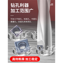 U荵�ƬSP����荱���荌���SPMG060204���P䓼��X�Ô��ص���