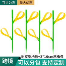 RdN@ˇƷճxTxճxl֦ز廨܈@ˇճx