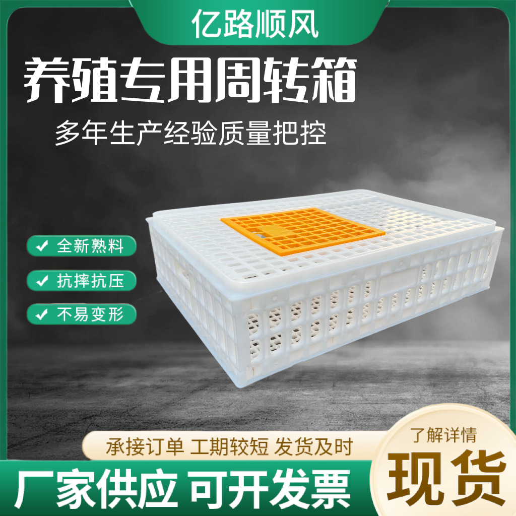 Los fabricantes suministran jaulas de plástico para pollos gruesos, pollos, patos, gansos, palomas y conejos.