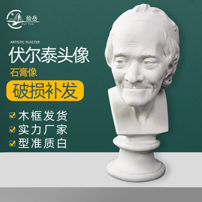 Manufactor supply Voltaire head portrait plaster Dural Teaching aids Plaster wholesale mould Sketch Still Life character sketch