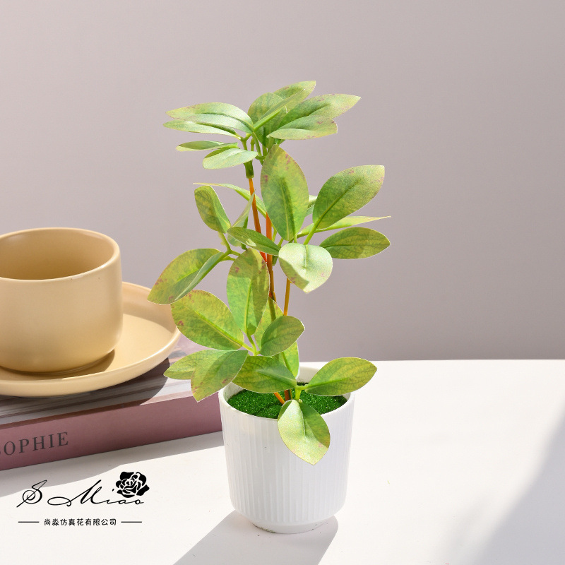 Simulación de plantas verdes, pequeñas plantas en macetas, flores artificiales, flores creativas, decoración de estudio fotográfico para el hogar, plantas verdes artificiales, bonsai de simulación image 7