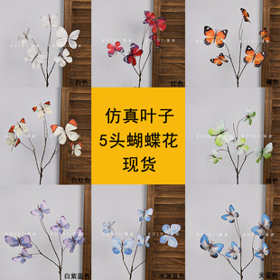 3D����5�^��֦�������W�t������Ҿ��b廨����쾰����ٻ�