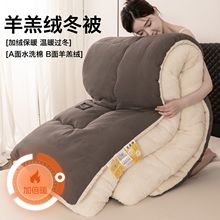 新款羊羔绒被子冬被加厚保暖被芯单人双人春秋被学生宿舍被褥床垫