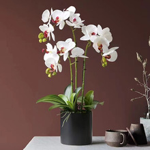 մɻ豱WsinsL  ֱͲAΟo׾G}~Xˮm