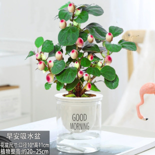 С�������҃ȾGֲ�����������ʽ�U������[�������B�Gֲ�辰