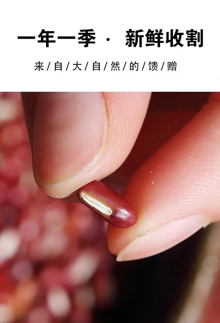 Adzuki Bean Chi Xiao Dou 500g Dried Red Beans for Soup Congee and Dessert Paste key features