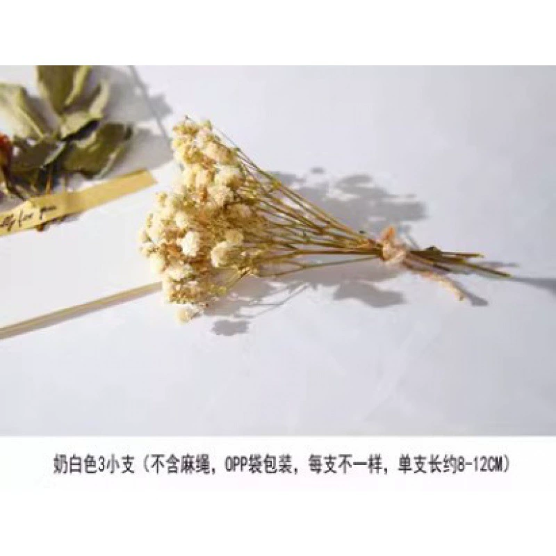 Organic sample, photo frame handmade, Christmas materials set, DIY