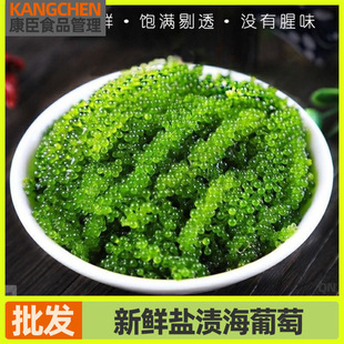 �}�n�����Ѻ����z���r��ʳ�����С��ʳȹ���ˉ�˾�Gɫֲ���~���u