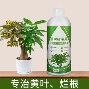 Eight Old Head Wealth Trees Special Nutrient Solution for Household Flowers and Green Plants Hydroponic Universal Plant Liquid Fertilizer