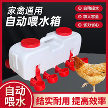 跨境新款式鸡用饮水器家禽饮水碗雏鸡喝水碗自动饮水碗鸡鸭鹅专用