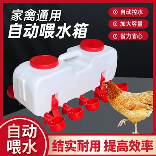 跨境新款式鸡用饮水器家禽饮水碗雏鸡喝水碗自动饮水碗鸡鸭鹅专用