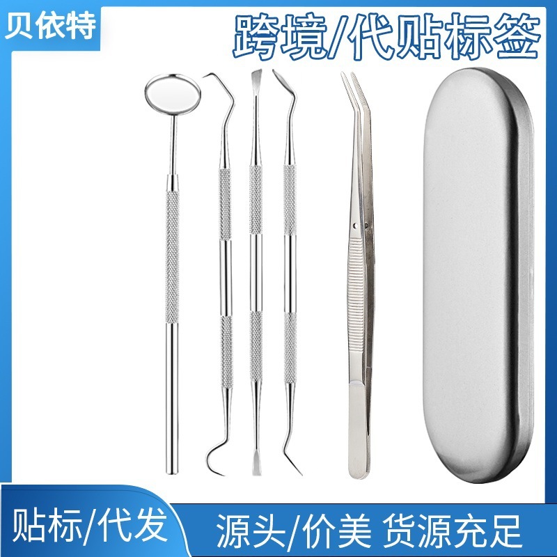 Cuidado dental Herramientas para dentistas orales Extiridor de cálculos de acero inoxidable Herramientas de limpieza dental Juego de 6 piezas