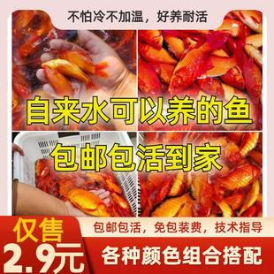 �ݽ��~���^�p�~С�~����B�����~��������~��ˮ�~��ˮ�^�p�~